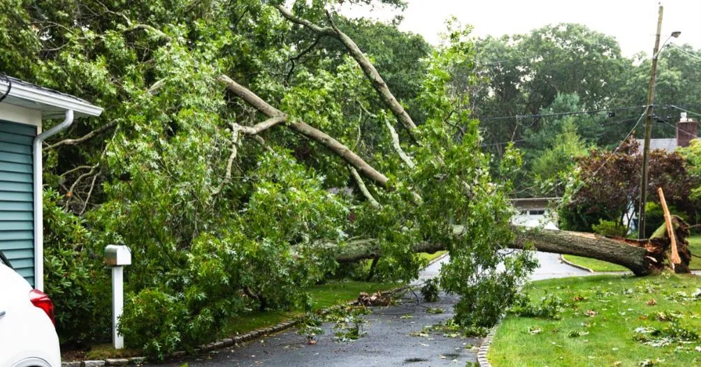 Storm Damage Restoration in Bogart GA — All Dry Services